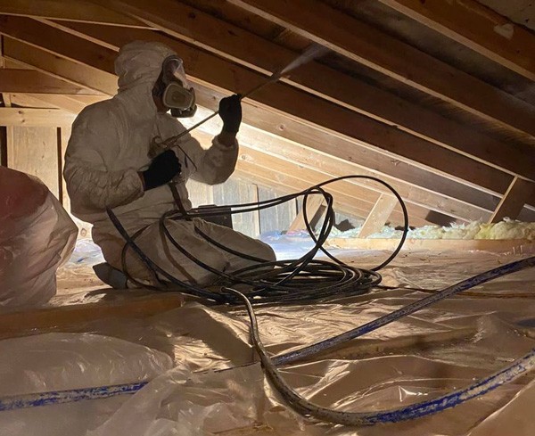 Mold Remediation - Princeton New Jersey