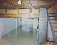 Mold Proofing, Walls, Ceiling and Wood Framing
